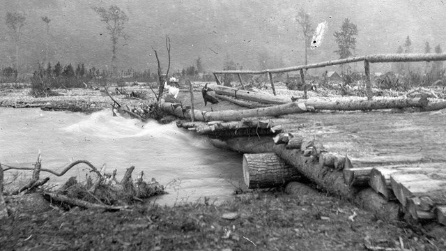 Black and white photo of woman and dog on low bridge in flood plane.