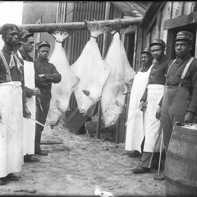 Black and white photo of six men standing in front of three large halibut.