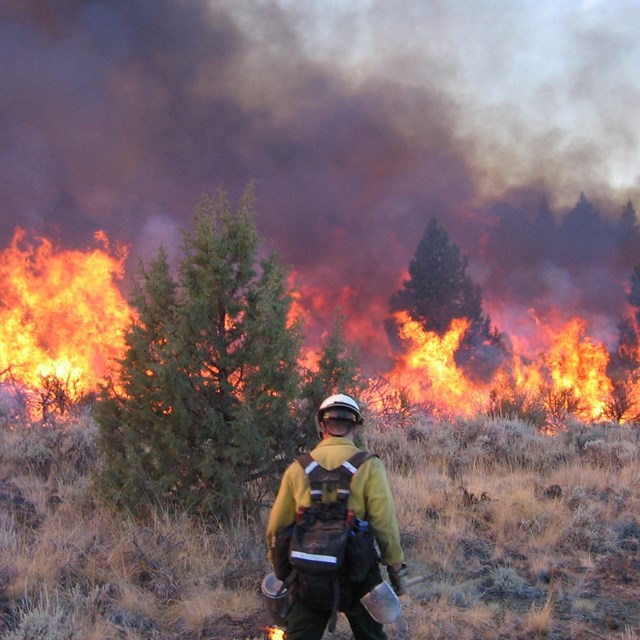 Firefighter at Big Nasty prescribed burn.