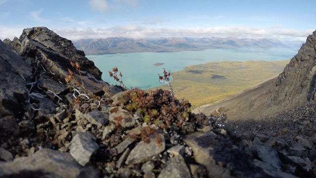 a view of Lake Clark from ontop Tanalian Mountain