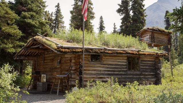 A log cabin with a grass covered roof