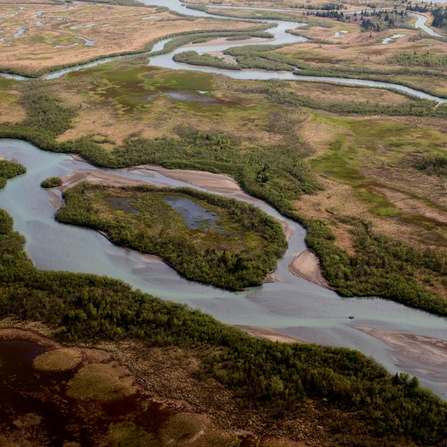 An aerial view of salt marshes near Chinitna Bay