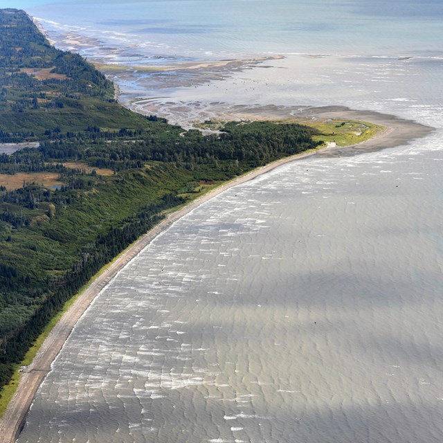 An aerial image of green trees and sandy beaches meeting blue ocean. 