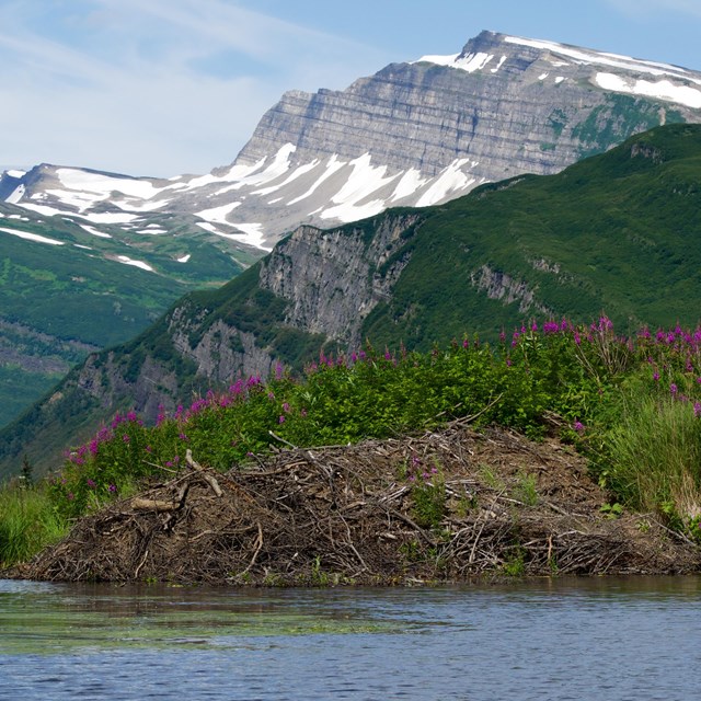 Slope Mountain over a beaver dam at Silver Salmon Creek