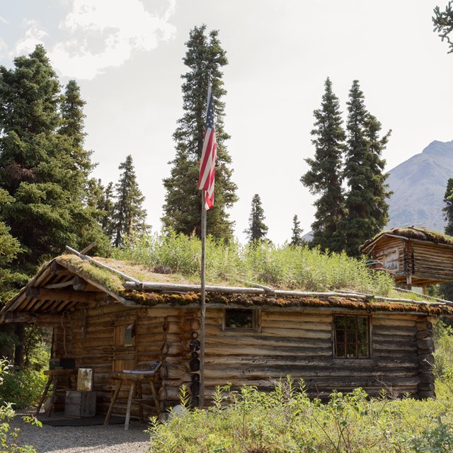 A log cabin with a grass covered roof