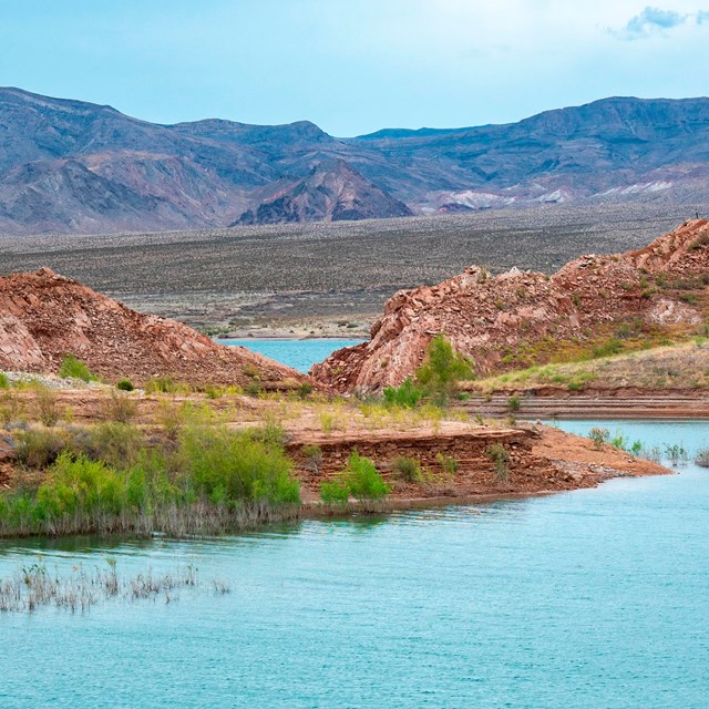 Desert landscape with a lake. 