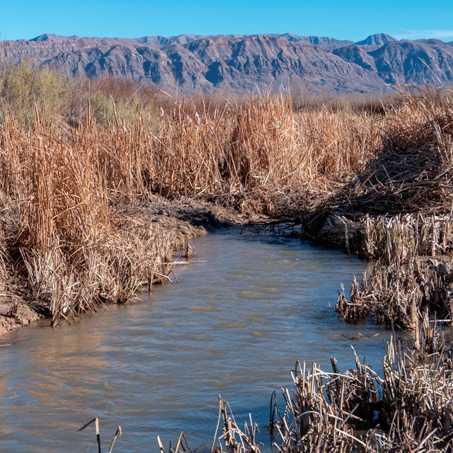 Muddy looking river. 