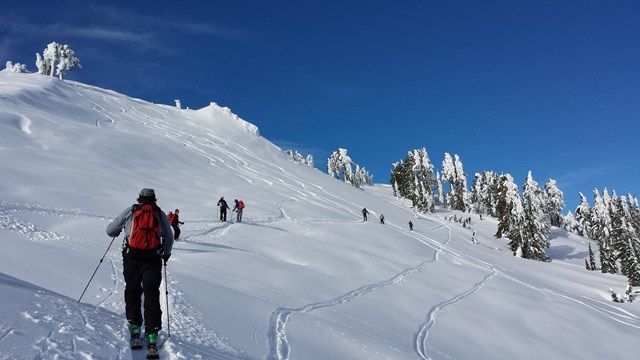 cross-country skiers on a snow-covered mountainside, blue sky behind