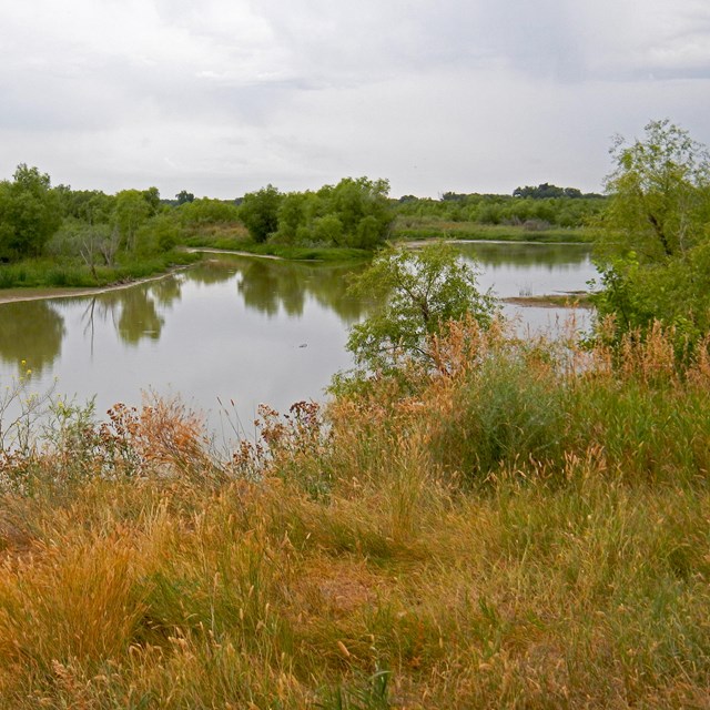 River with green background