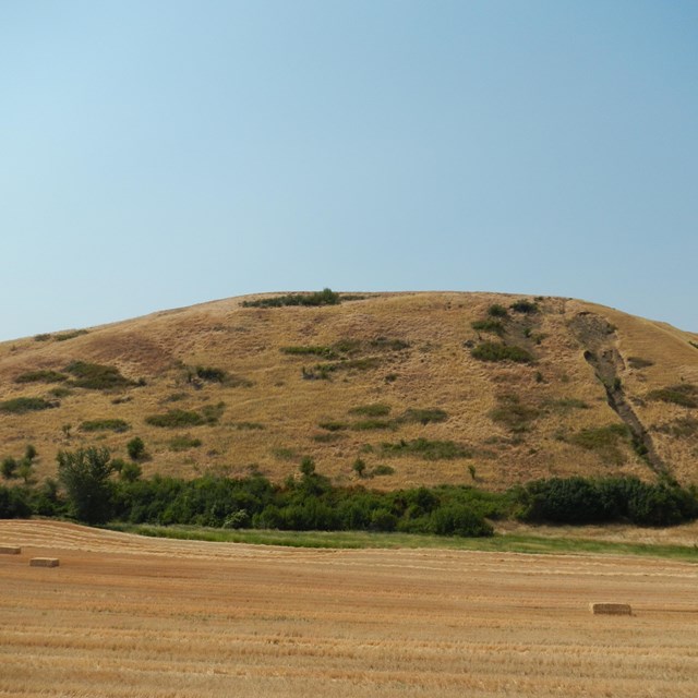 Large bluff 