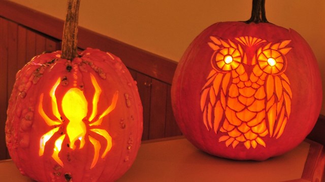 Two carved pumpkins side by side, the left of a spider and the right depicting an owl.