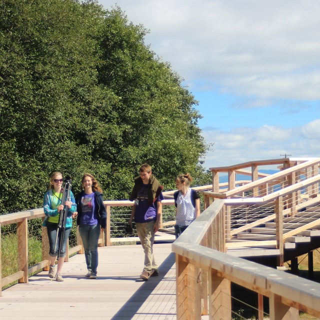 4 people walking on a boardwalk side by side over a grassy area. 