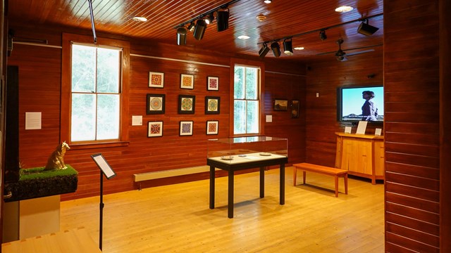 room with artwork, display cases, and television playing film