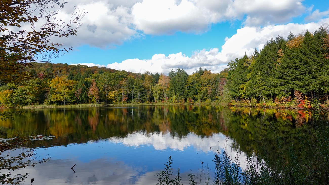 pond on sunny day with fall foliage, blue sky with fluffy clouds reflected in pond