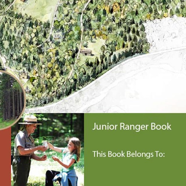 Junior Ranger book cover, text reads 