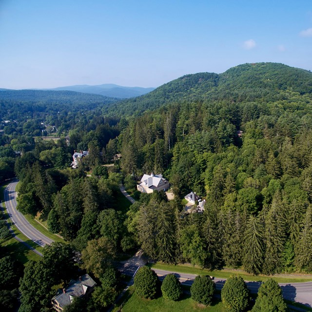 Aerial view of park entrance in summer - roads with lush green trees