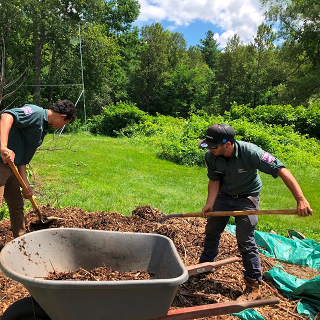 two VYCC interns in green collared shirts shovel dirt from a wheelbarrow