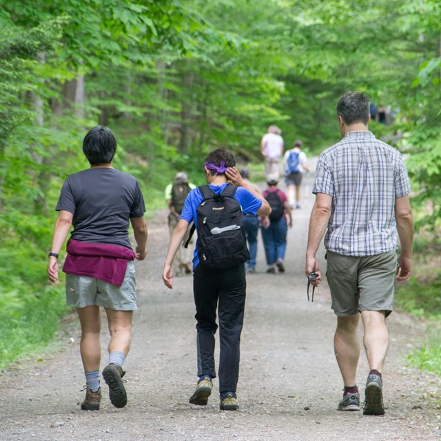 photo of three hikers on a trail from behind