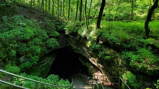 A long staircase leads down into the cave. Green shrubs and trees surround the cave opening. 