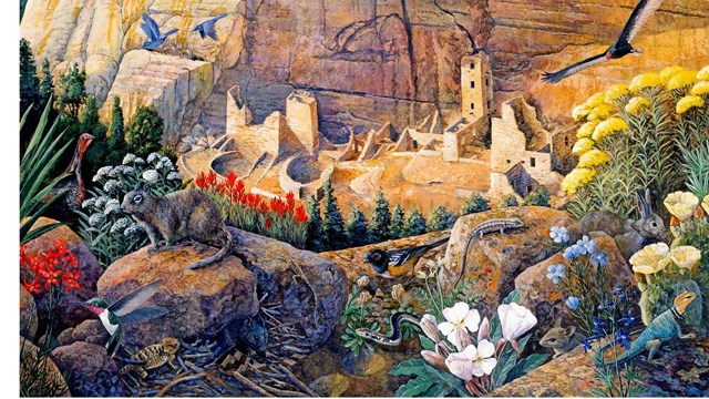 An illustration looking down on a cliff dwelling, wildflowers, lizards, squirrel, birdsds flyi