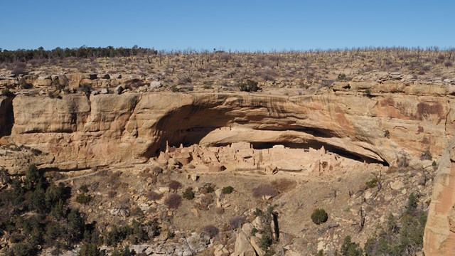 A landscape view with blue sky, mesa top, cliff dwelling alcove and sloping canyon walls