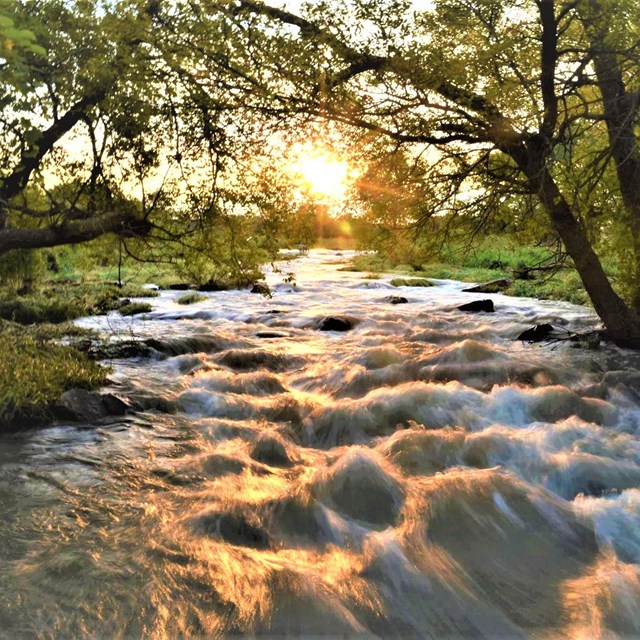 Creek framed by trees with sun rising directly over it.