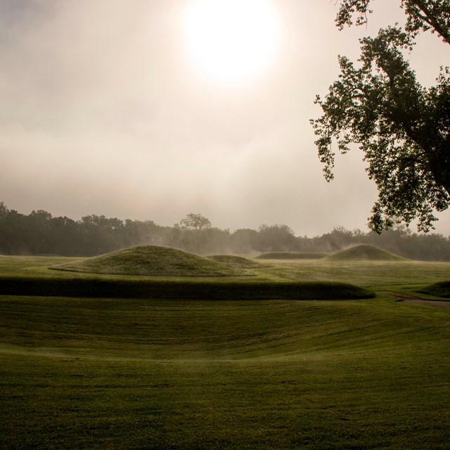 Grass-covered mounds surrounded by trees and low fog