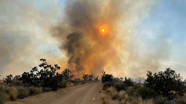 The York Fire burning on a dirt road in 2023.