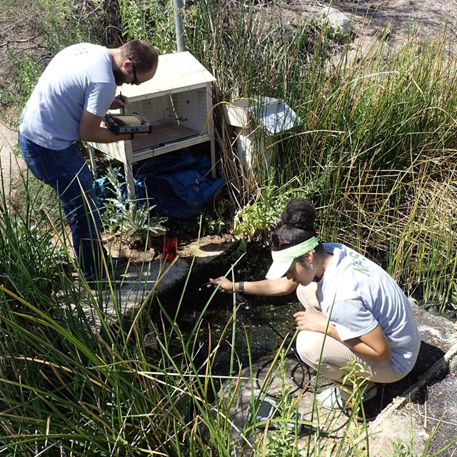 Two scientists collecting water quality data at Blue Point Spring, Lake Mead