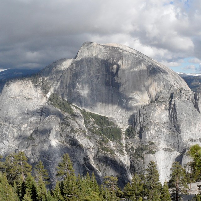 Massive, dome-shaped rock outcropping rises above the forest floor.