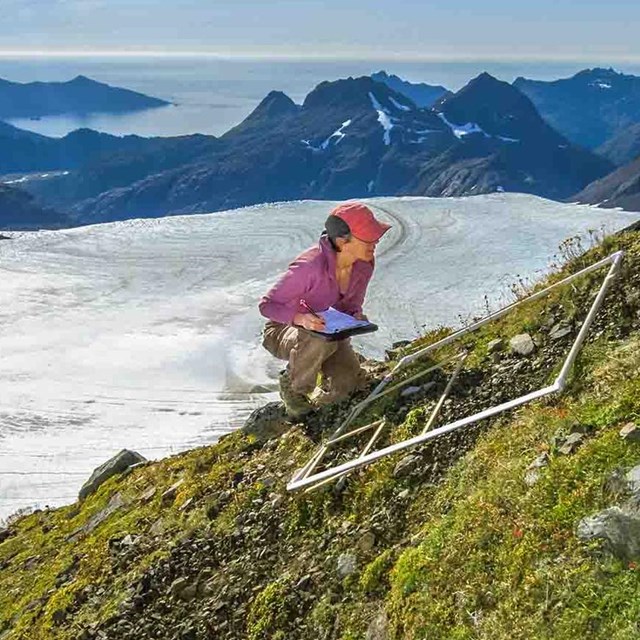 Researcher on a nunatak recording vegetation data.