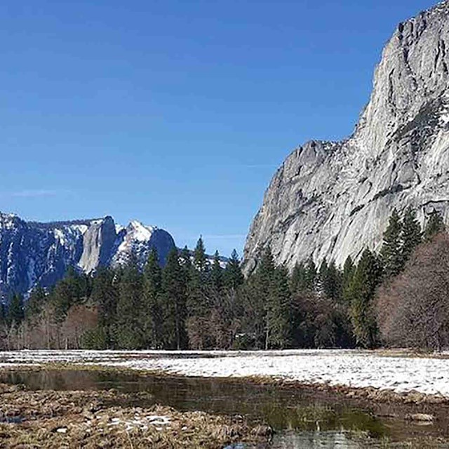 The Yosemite Valley