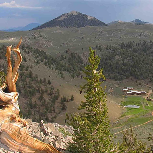 A research station nestled in a small mountain valley.