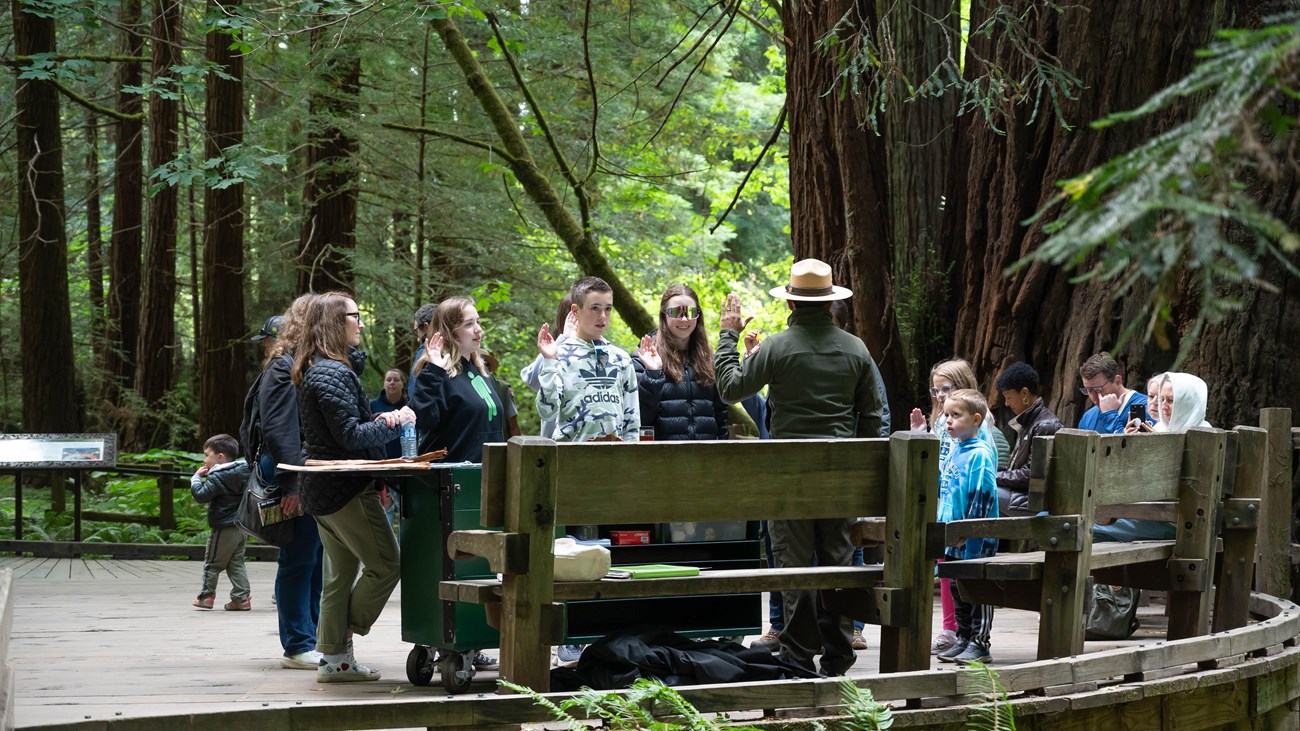 Junior Rangers take their oath at Muir Woods.