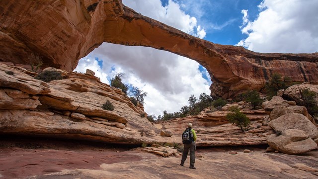 a hiker stands in front of Owachomo Bridge