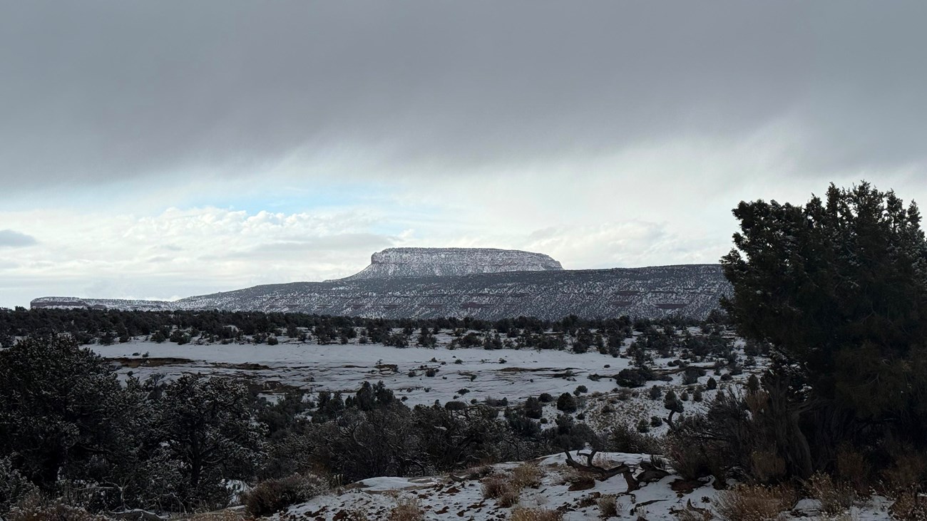 Wintry view of a large mesa and sandstone areas with a dusting of snow. Juniper trees throughout.