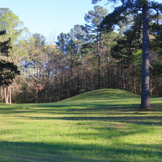 Two rounded earthen works in the distance, surrounded by trees.