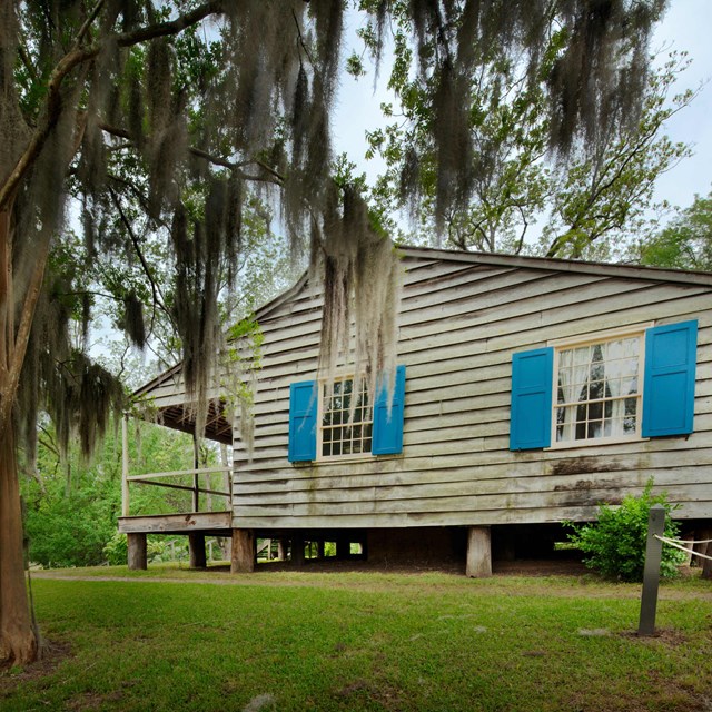 A historic 1820s plantation house obscured by a crepe myrtle.