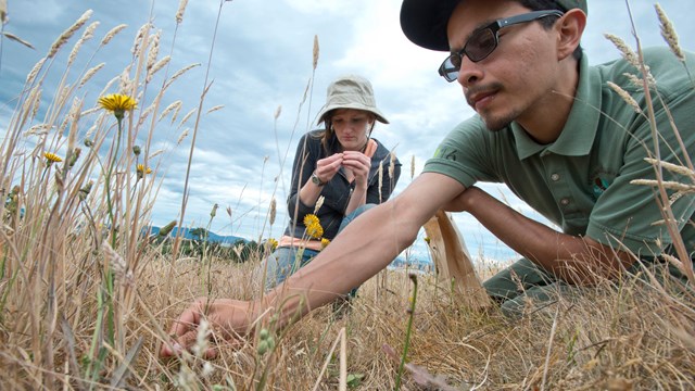 two people looking at grass