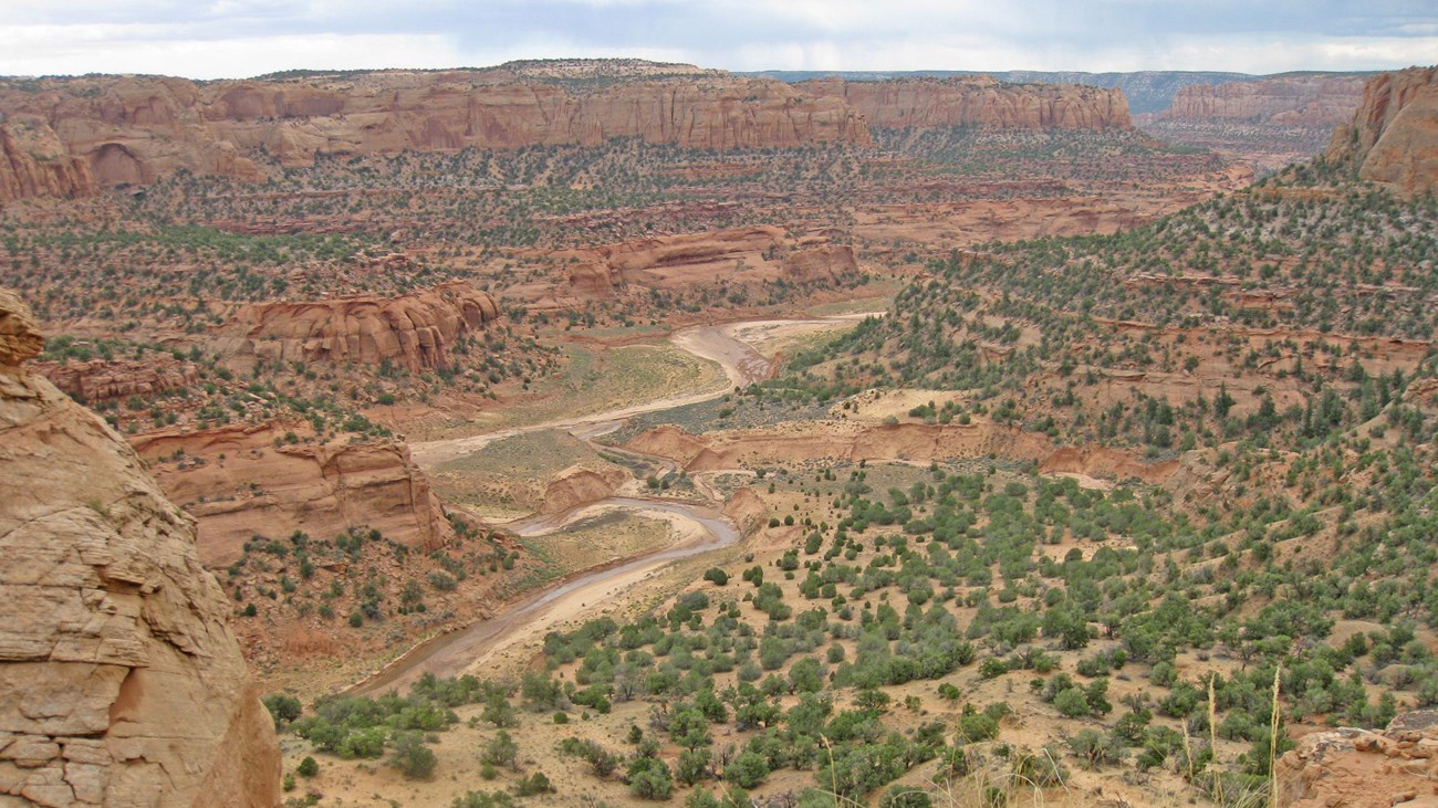 A river snakes through a broad desert landscape.