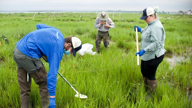 A park scientist writes numbers on a long white pole with a black marker