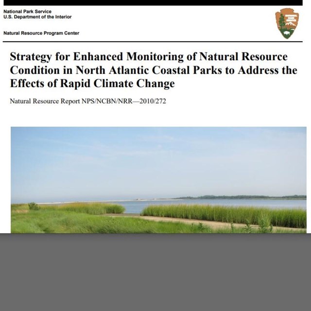 Screenshot of monitoring document cover page