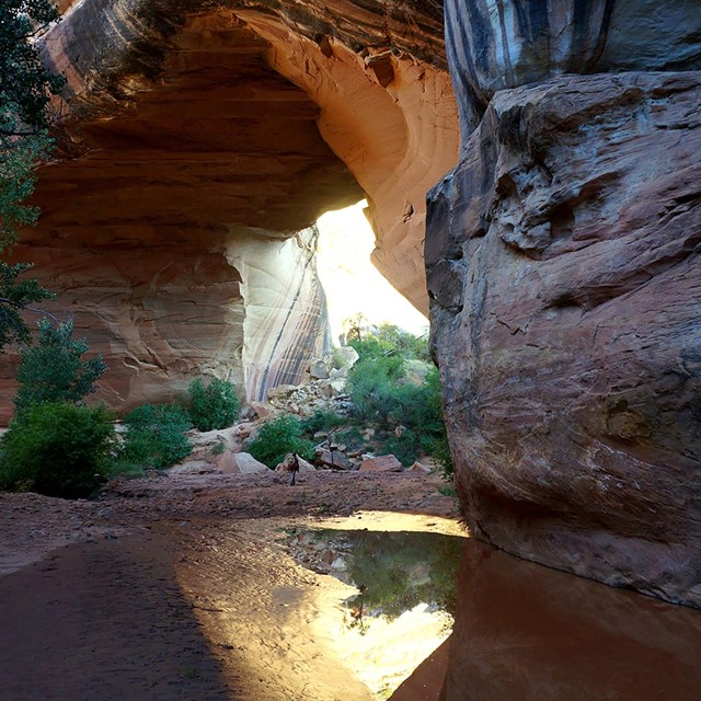 Arch reflected in water