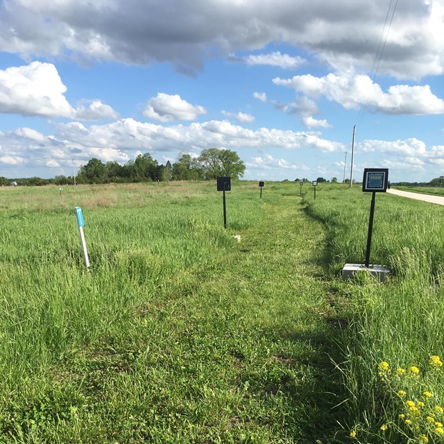 A mowed path through prairie. There are numbered signs along the trail for a tour. 