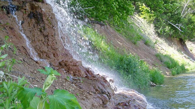 Green grasses, waterfall, and river