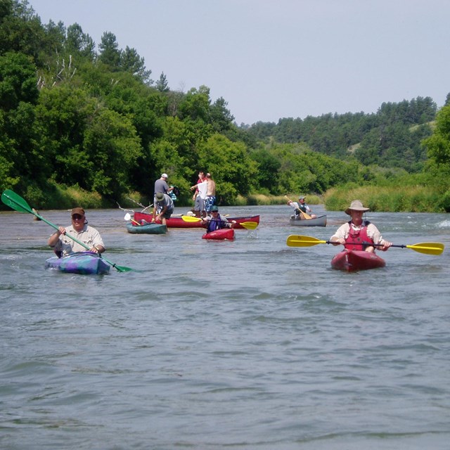 Kayakers on a river with green banks and blue sky.