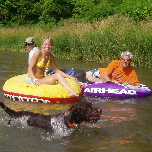 Tubers carry tubes out of river.