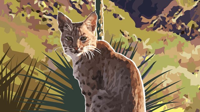 Artwork of bobcat with flower in mountains