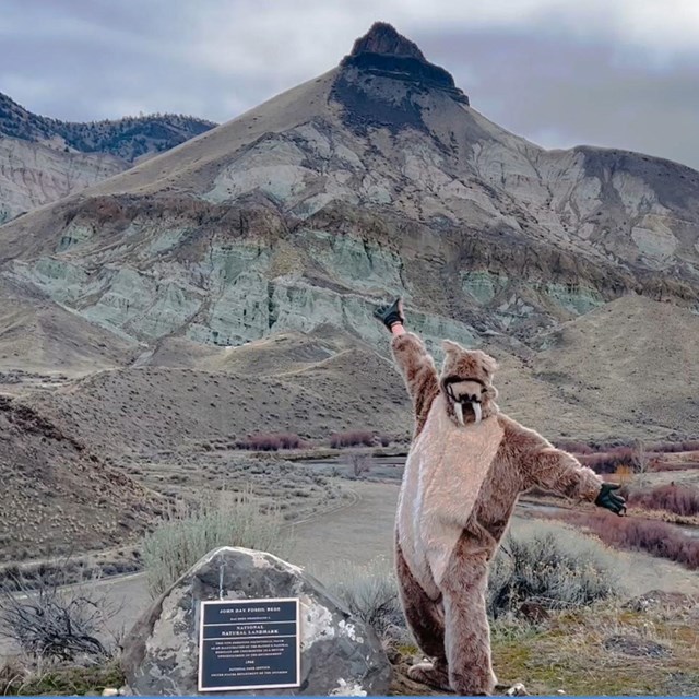 costume character jumps for joy next to plaque