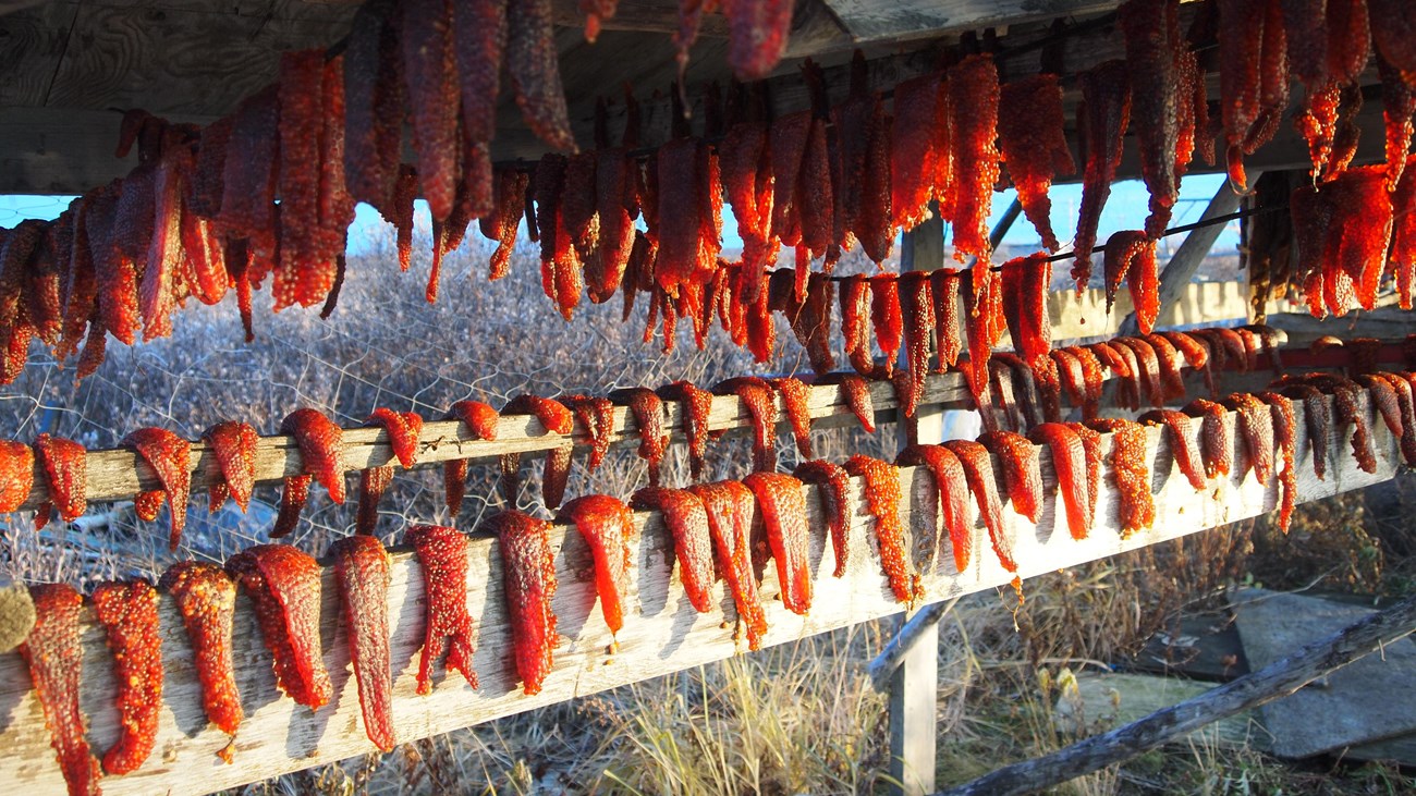 fish eggs hanging off wooden rack